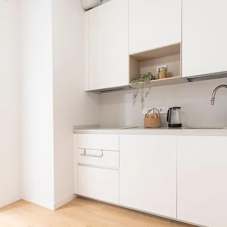 Apartament Luxury - Principe Eugenio 3 *
