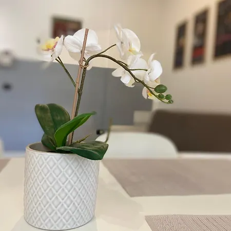 Bright 2 Min From Metro-centrale&duomo Apartament *