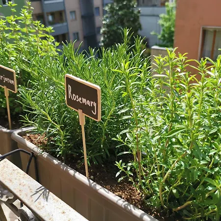 Spacious 50 Meters From The Metro Daire *