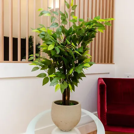 Vivimihome - Bligny Luxury House Apartment Milan