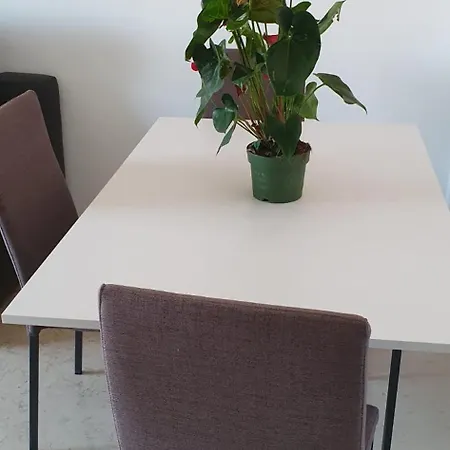 House Bocconi *