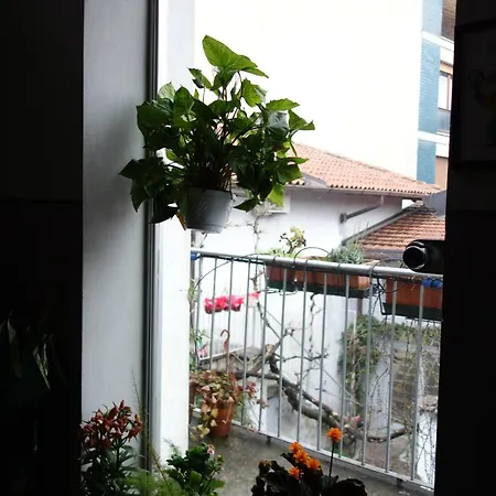 Charming On The Roofs Of Navigli *