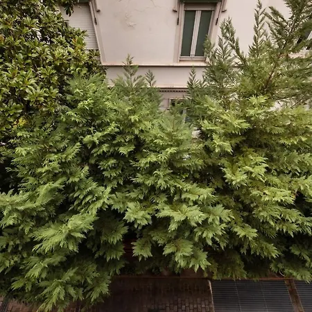 Apartment Beautiful 1 Bedroom Fiera Area - Mirable Pm