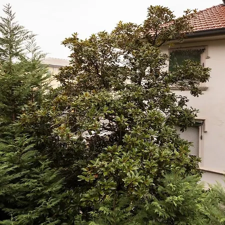 Beautiful 1 Bedroom Fiera Area - Mirable Pm Apartment *