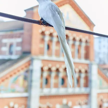 Daire Chichouse Maderno *