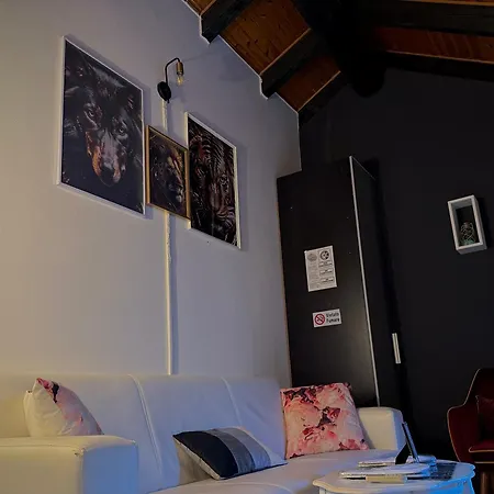 Hosting Dreams Attics - Duomo Milánó