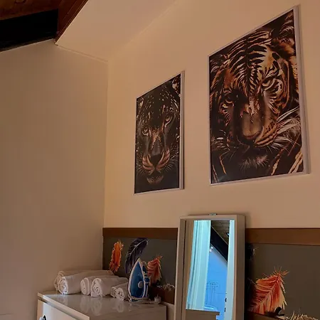 Apartment Hosting Dreams Attics - Duomo Milan