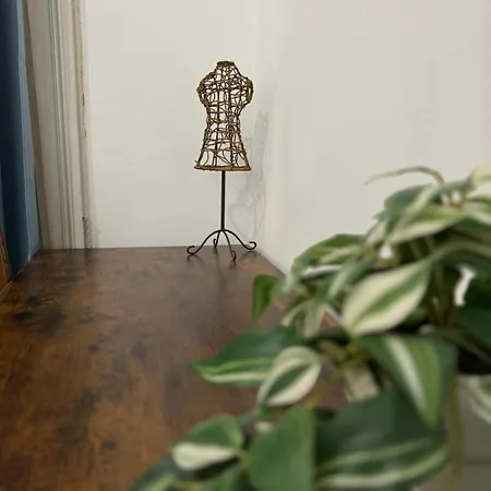 Apartman Rosa House