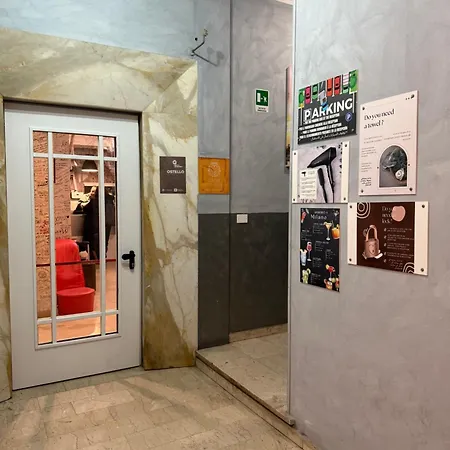 Lion University&youth 2