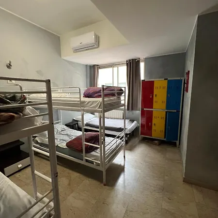 Lion & Youth Hostel *