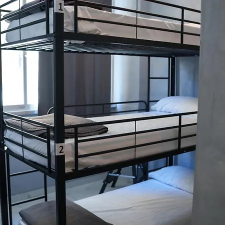 Hostel Lion & Youth