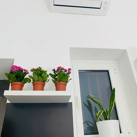 Apartman Elegant