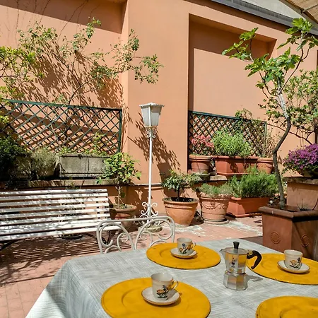 Alma Vacation In The Centre, Big Terrace *