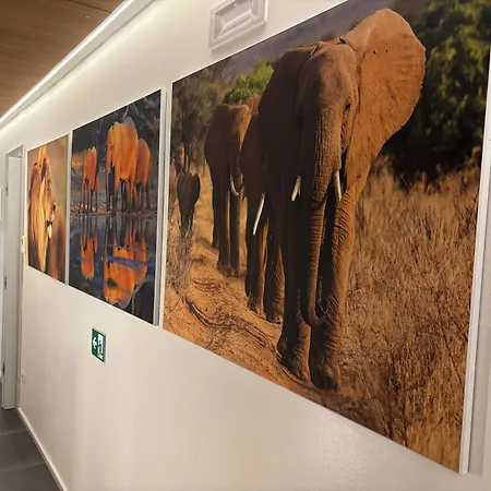 Enjoy Garden - Flavio Baracchini 9 - Affittacamere