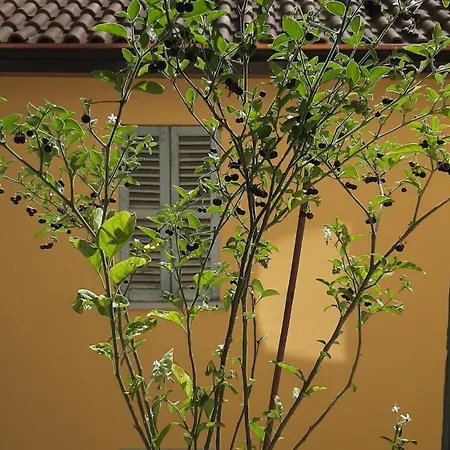 Donna Nilla, A Large And Cozy Flat In Porta Venezia Apartment *