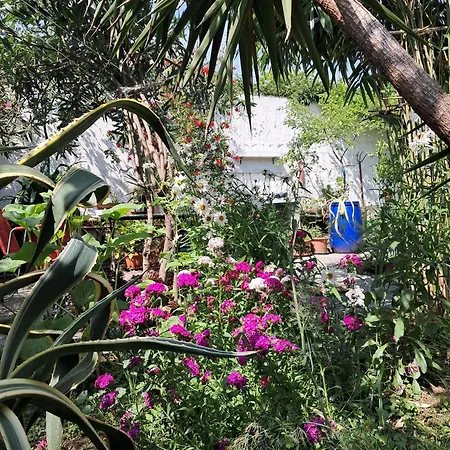 With A Garden Habitación en casa particular *