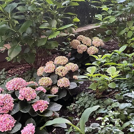 Colombia Hotel Milão