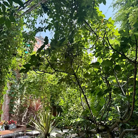Franca's Apartmán Milán