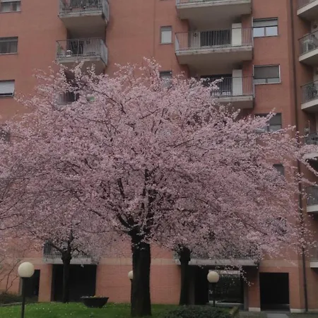 דירה Elemi House *