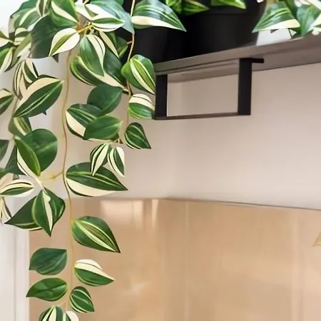 Apartment Apple - A 10 Minuti Dal Duomo Di *