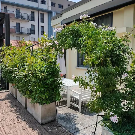 Loft Bocconi, Iulm, Fondazione Prada, Ieo *