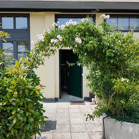 Loft Bocconi, Iulm, Fondazione Prada, Ieo