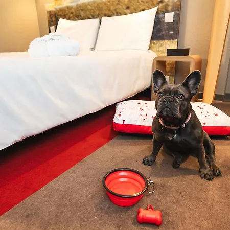 Ibis Centro Hotel 3*