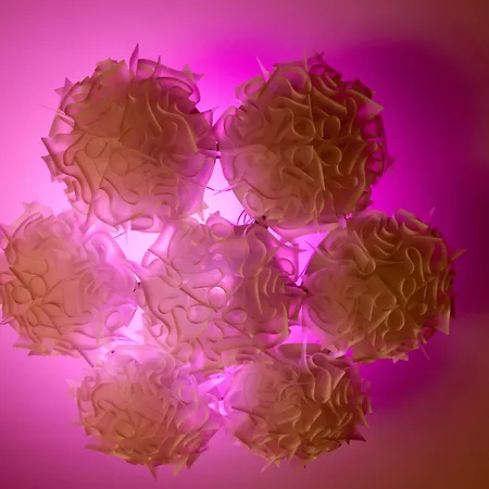 Brera Prestige Pensjonat 4*