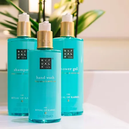 Novotel Linate Aeroporto Ξενοδοχείο 4*