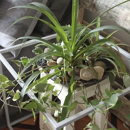 住宿加早餐酒店 米兰中心床+艺术旅馆