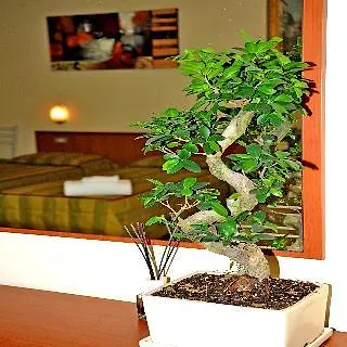 Hotel San Siro Fiera Milão
