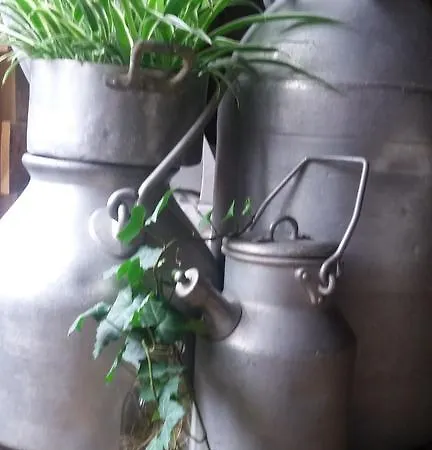 米兰中心床+艺术旅馆