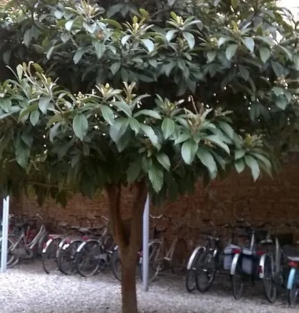 La Mansarda Di Porta Romana Milaan