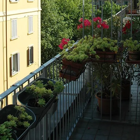 - Shabby Chic * Milan