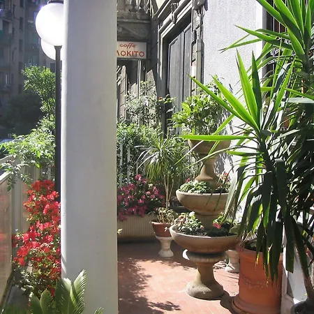 Mayorca Hotel 3*