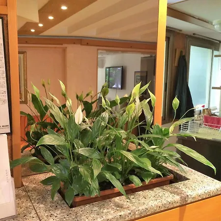 Citta Studi Hotel 3*