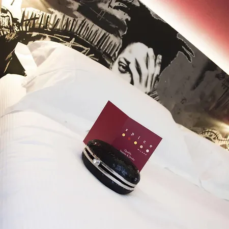 酒店 米兰斯派斯酒店