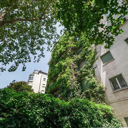 Apartman Majno *
