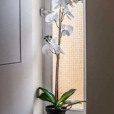 아파트 Castle Near Duomo *