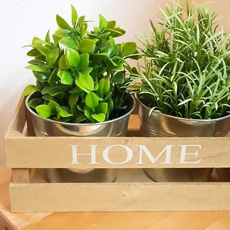 Apartamento M.h.s. *