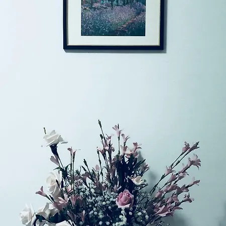 Camera Singola Ubytování v soukromí *