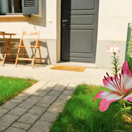 Apartament The Flower House *