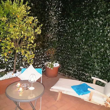 Flowers בית הארחה