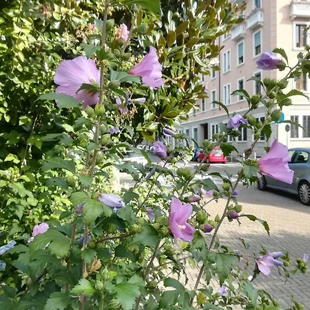 Apartament Via Rovetta *