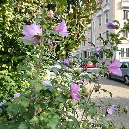 Apartment Via Rovetta *