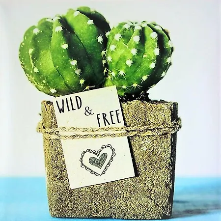 Youhome Millelire