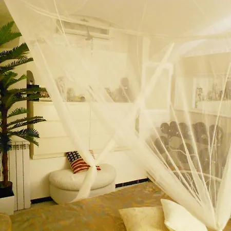 Guest house In Private Basement In Shared *