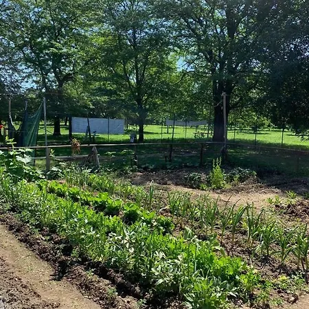 Cascina Bellaria بيت شباب ميلان