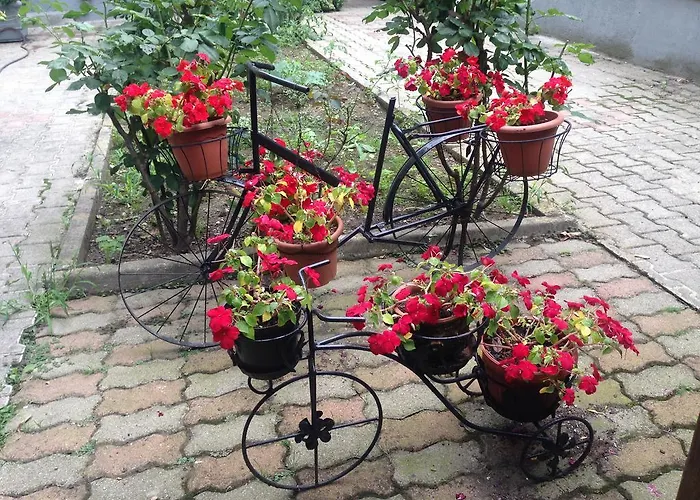 博诺拉酒店 酒店