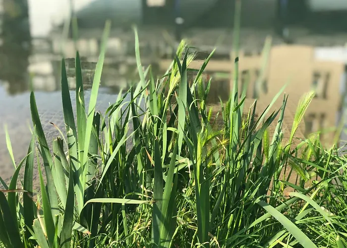 Residenza Fiori Di Grano Panzió